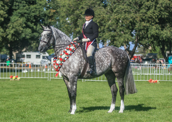 Moores Riding Wear Ltd